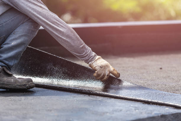 Professional Interior Drainage System technician working in Caneadea, NY